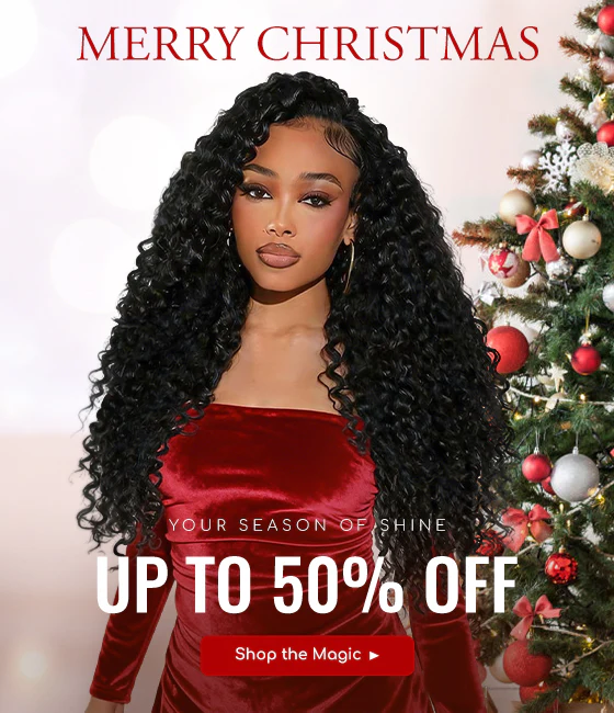Christmas Wig